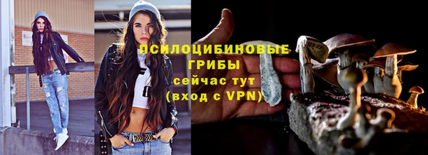 амф Беломорск